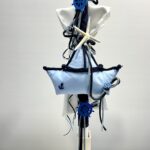 ΛΑΜΠΑΔΑ ΑΓΟΡΙ ΜΕ ΘΕΜΑ ΚΑΡΑΒΑΚΙ